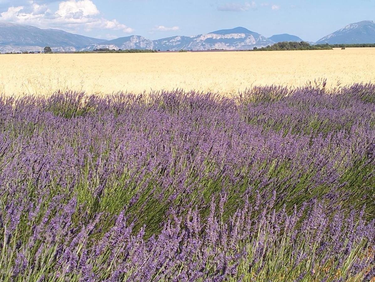 La Provence Vous Attend***!!! - 1Er Etage Динь-ле-Бен Экстерьер фото